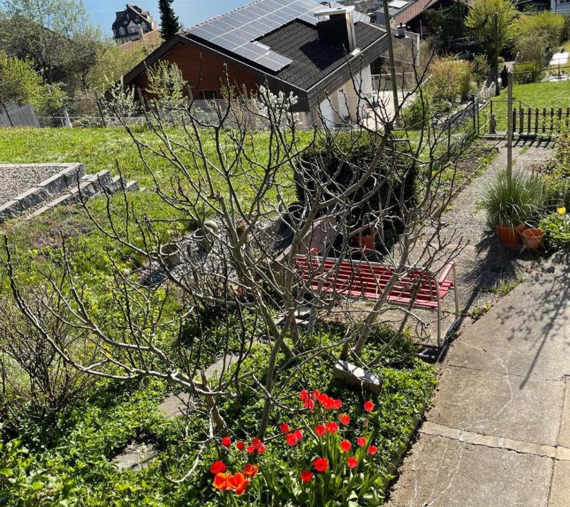 Photo of Others in Hilterfingen