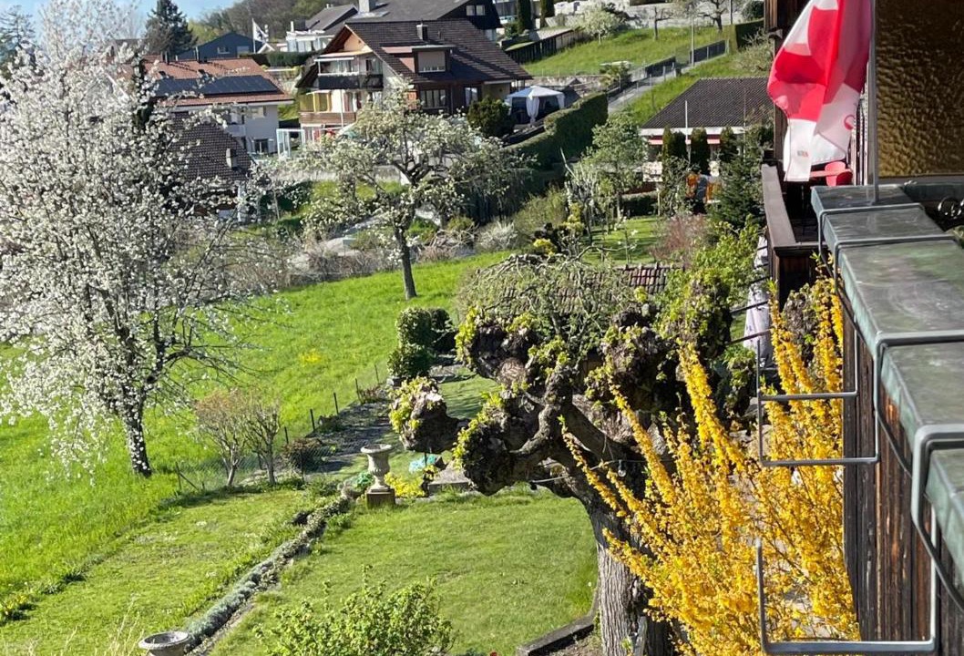Photo of Others in Hilterfingen
