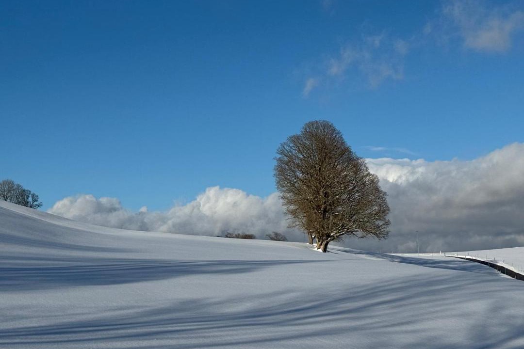 Photo of Others in Le Sentier