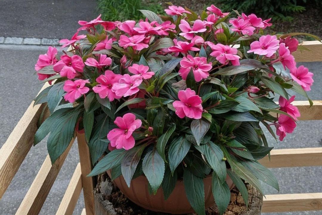 Photo of Outdoor in Frutigen