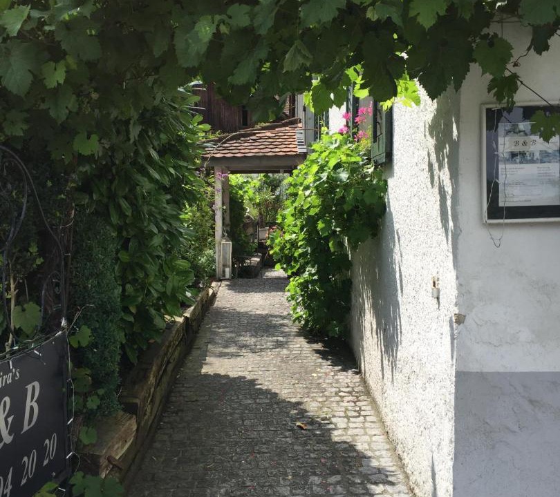Photo of Others in Lufingen