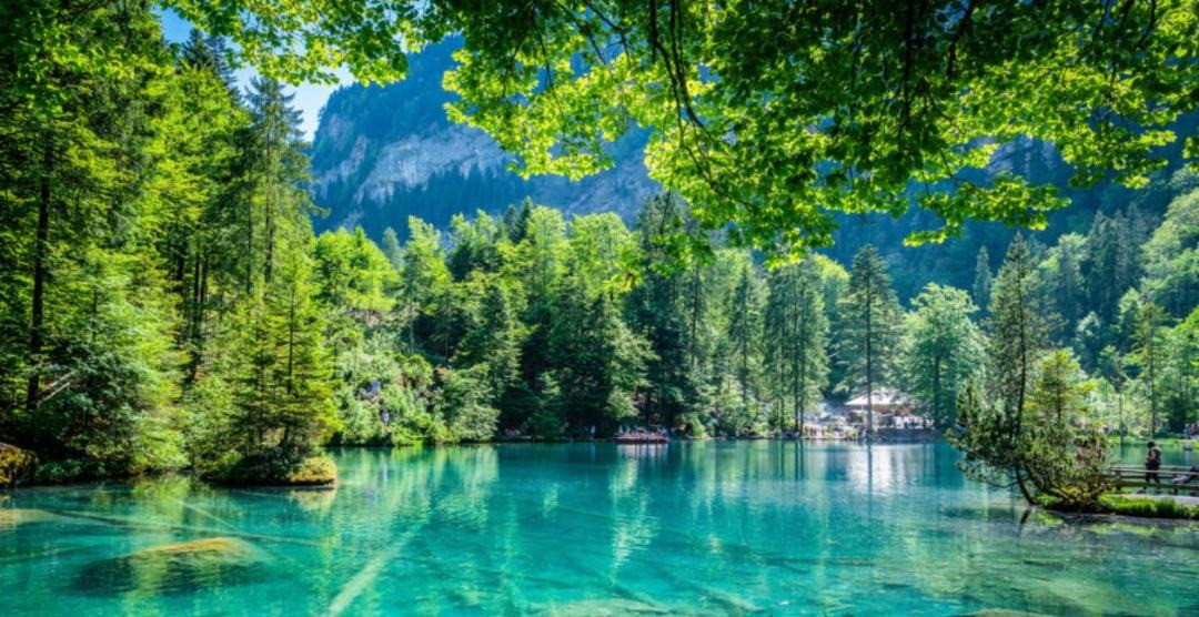 Photo of Others in Blausee
