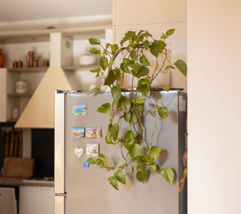 Photo of Others in Grezzana