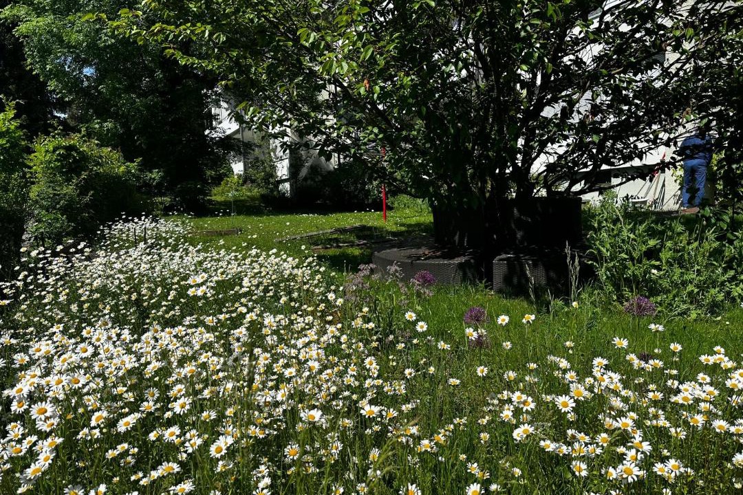 Photo of Others in Zollikofen