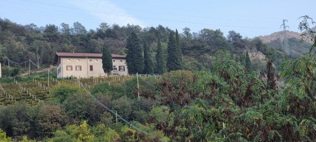 Photo of Others in Martignano