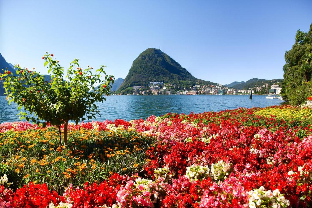 Photo of Others in Lugano