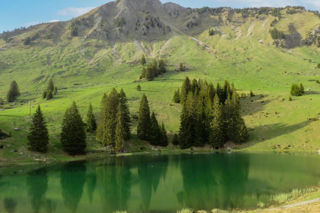 Photo of Others in Ormont-Dessus