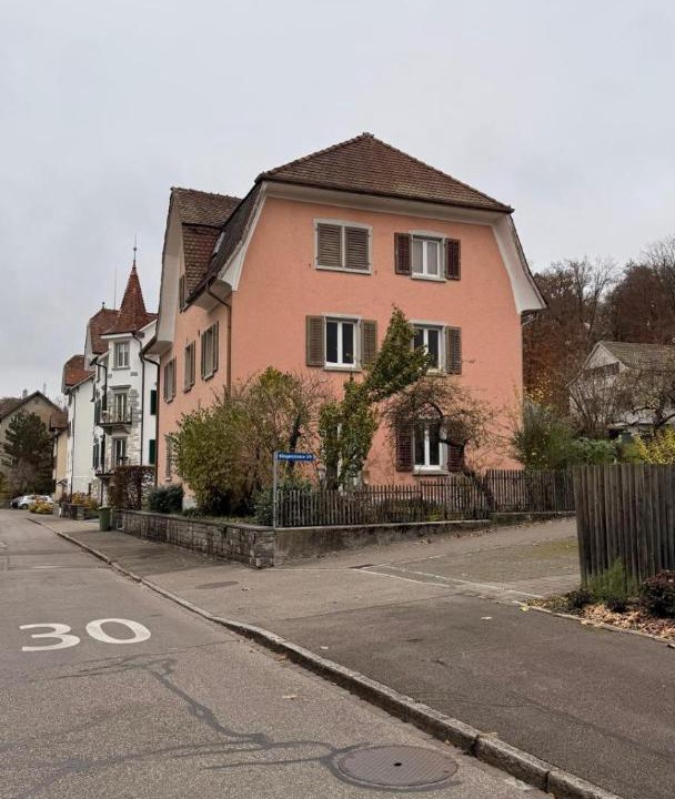 Photo of Others in Schaffhausen