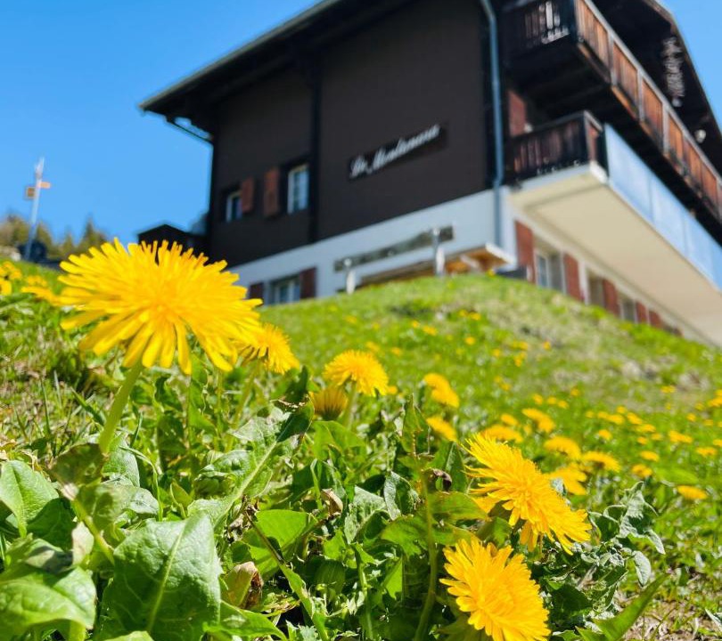 Photo of Others in Bettmeralp