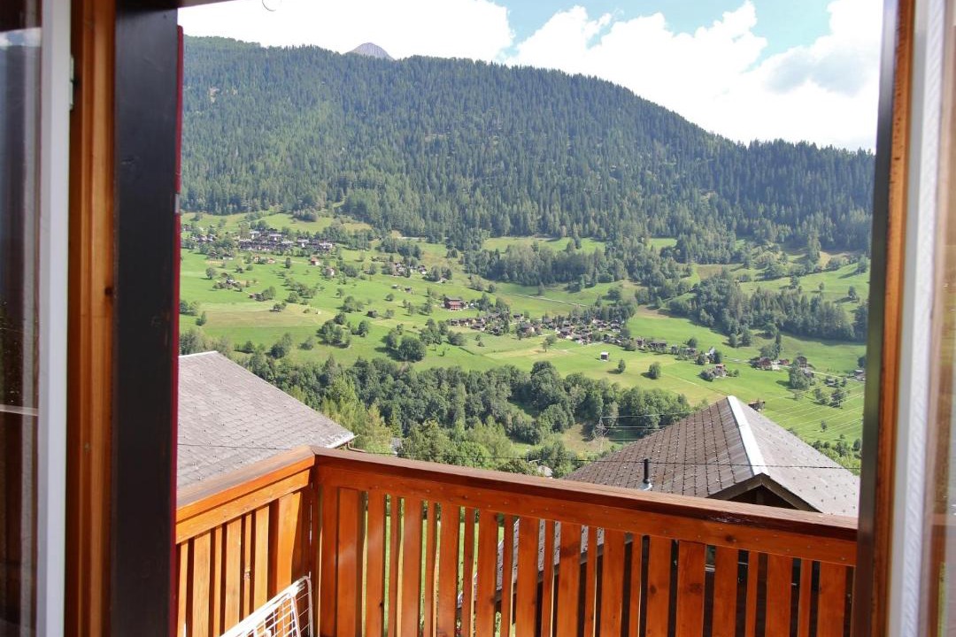 Photo of Others in Fiesch