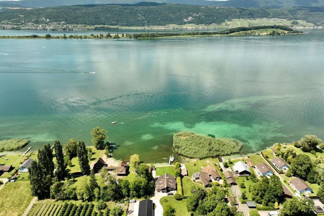 Photo of Others in Luscherz