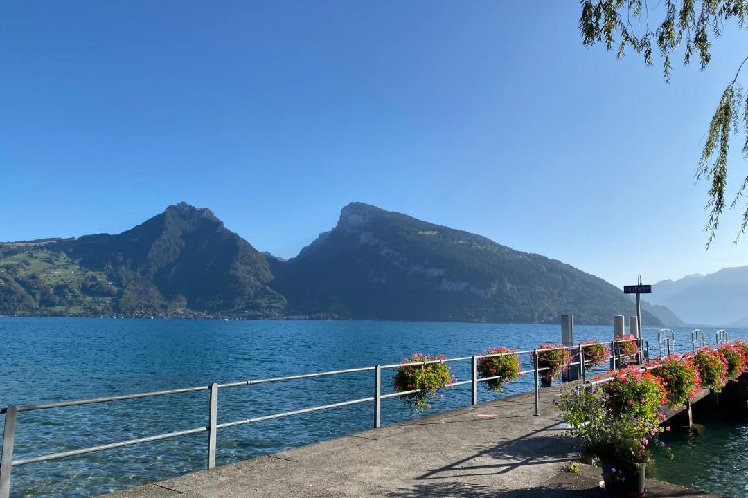 Photo of Others in Faulensee