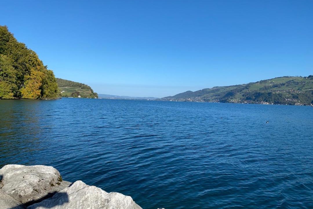 Photo of Others in Faulensee