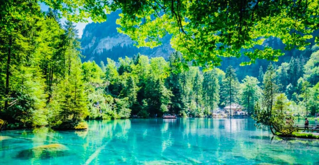 Photo of Others in Blausee