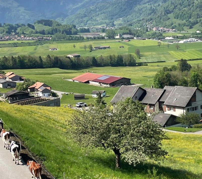 Photo of Others in Bas-Intyamon