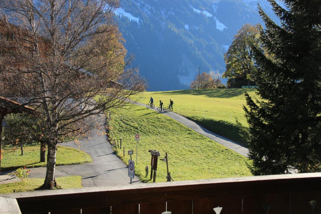 Photo of Others in Grindelwald
