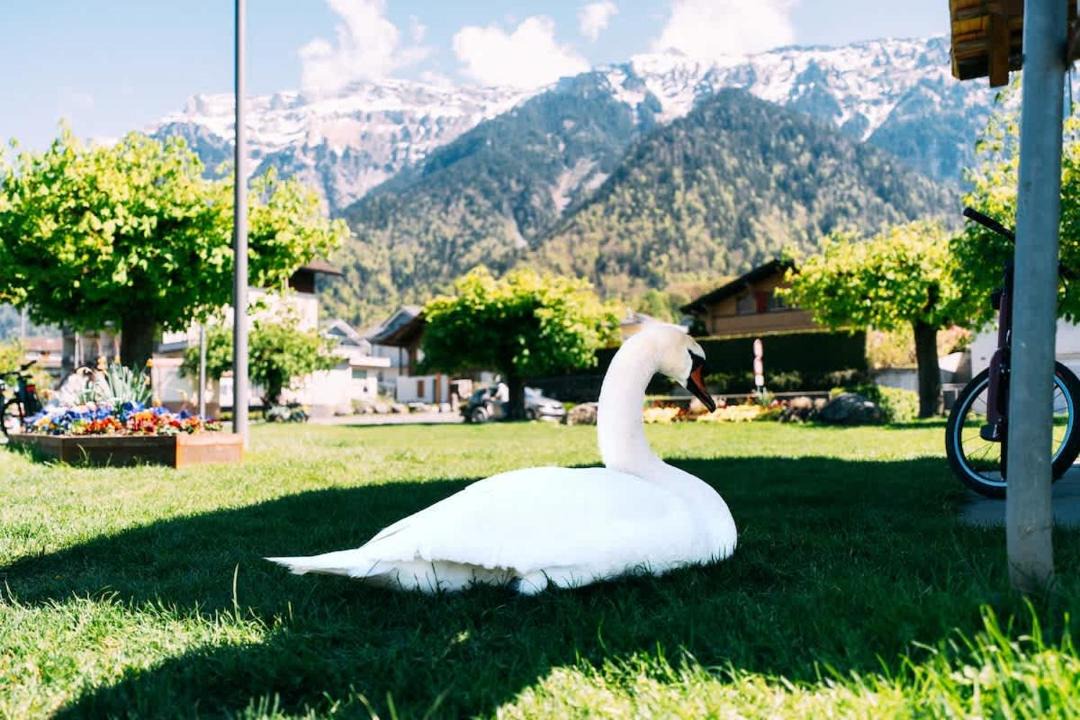 Photo of Others in Boenigen