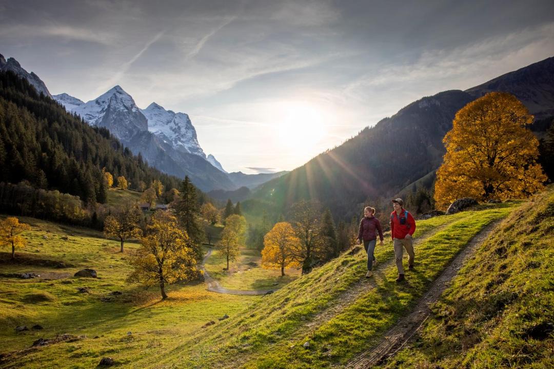 Photo of Others in Martisberg