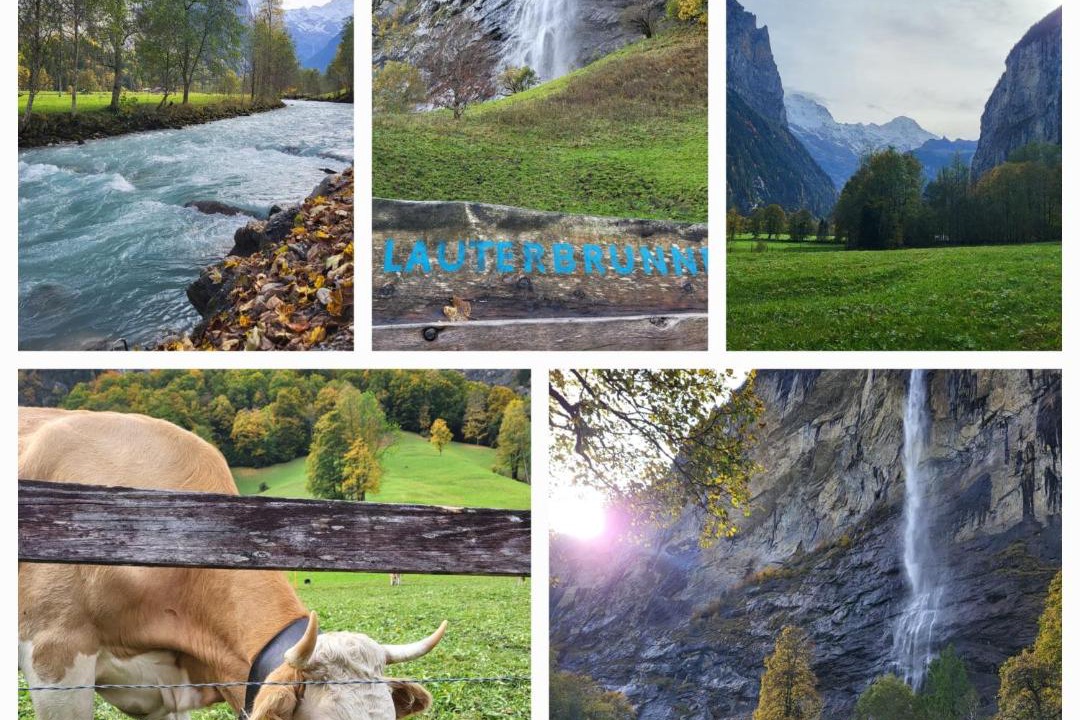 Photo of Others in Brienz