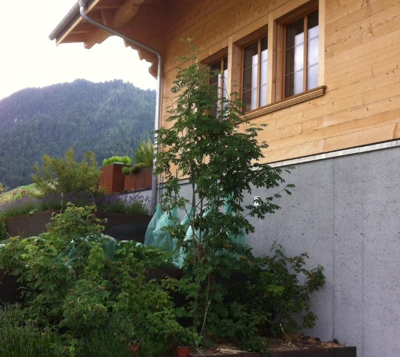 Photo of Others in Latterbach