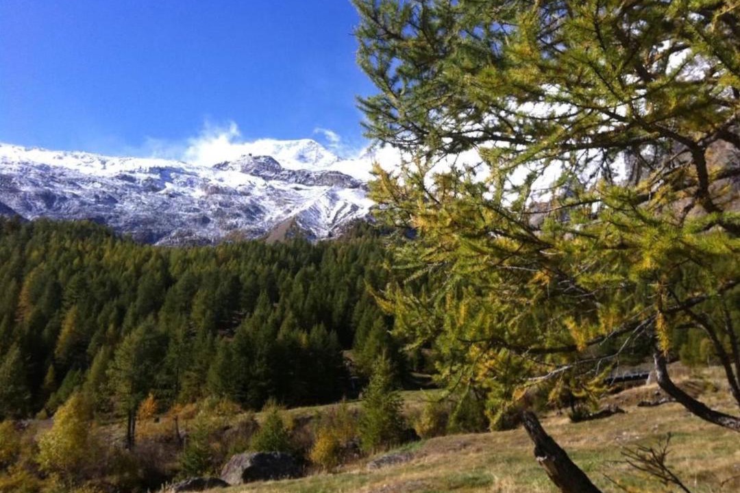 Photo of Others in Saas-Fee