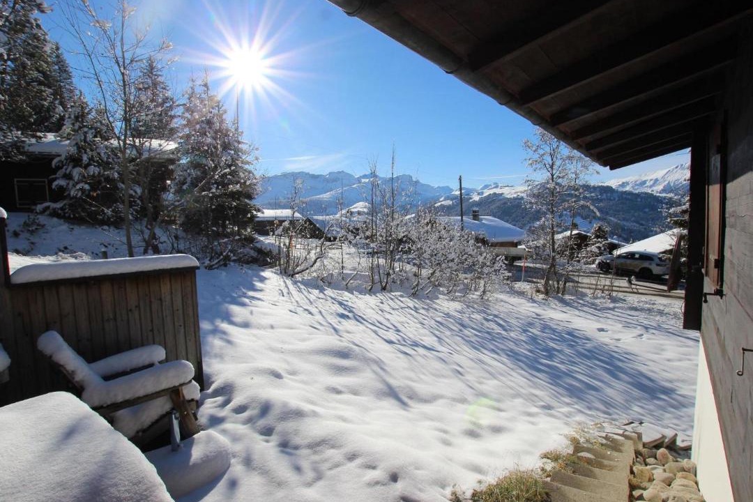 Photo of Others in Lenk