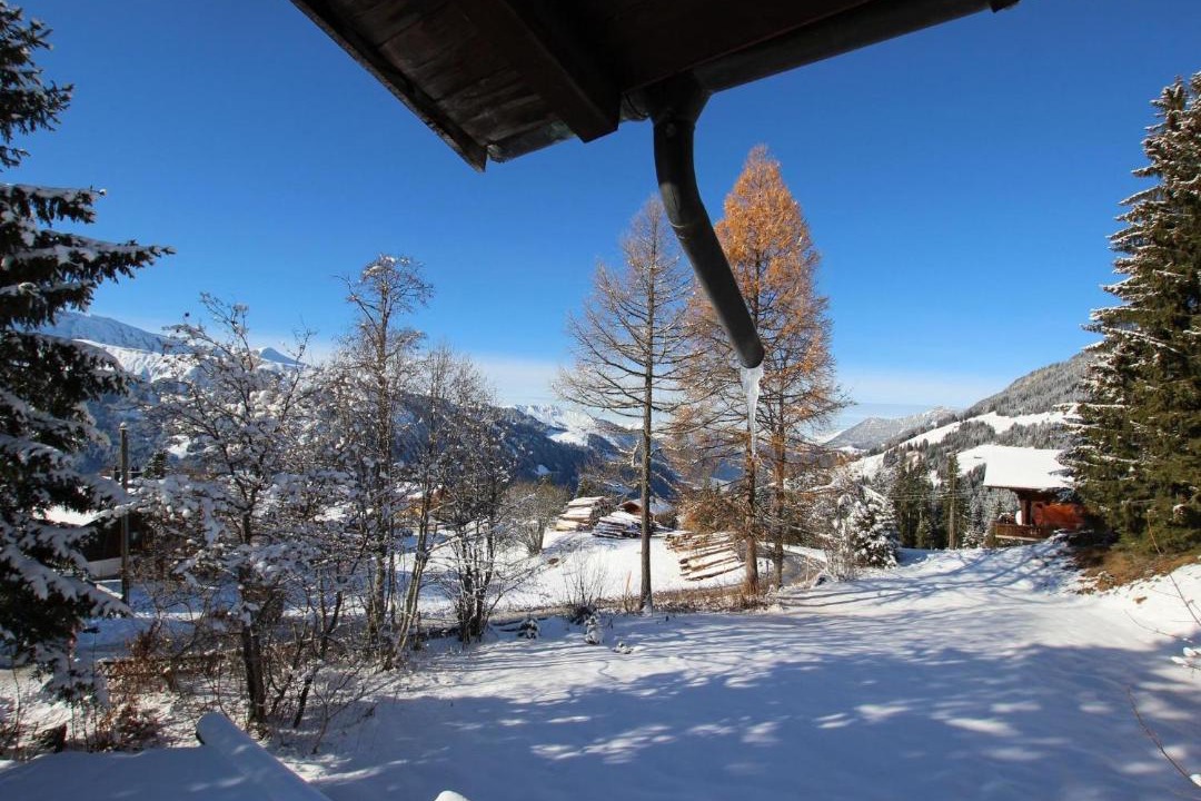 Photo of Others in Lenk