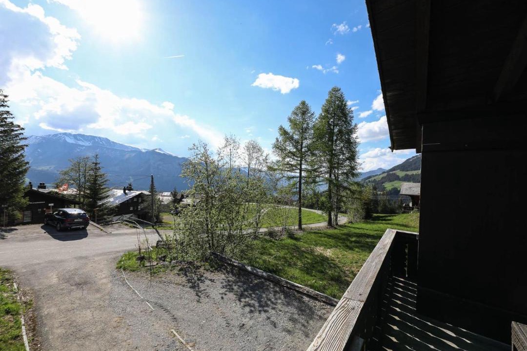 Photo of Others in Lenk
