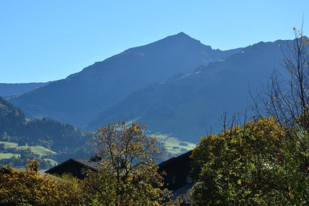 Photo of Others in Saanen