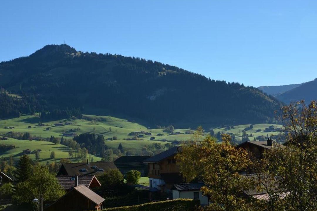 Photo of Others in Saanen