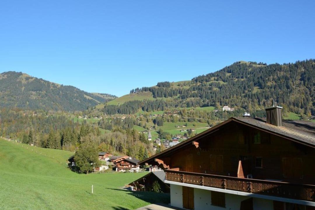 Photo of Others in Saanen