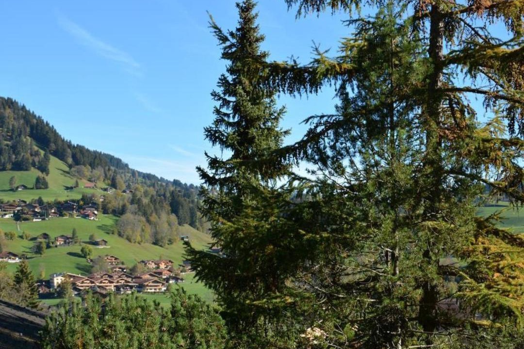 Photo of Others in Saanen