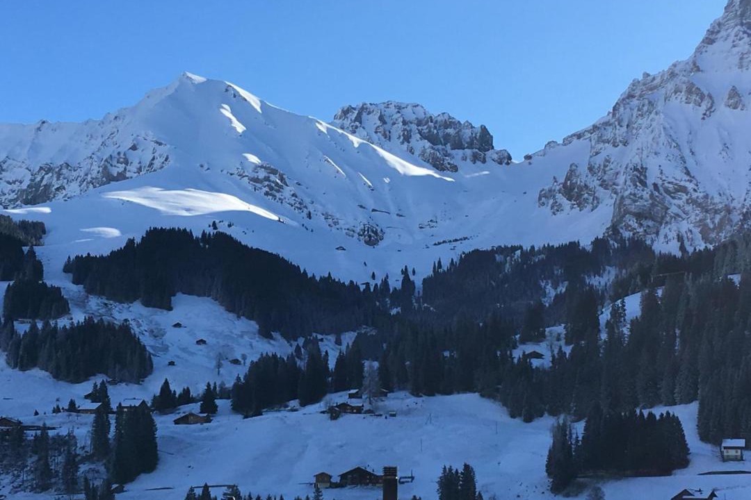 Photo of Others in Adelboden