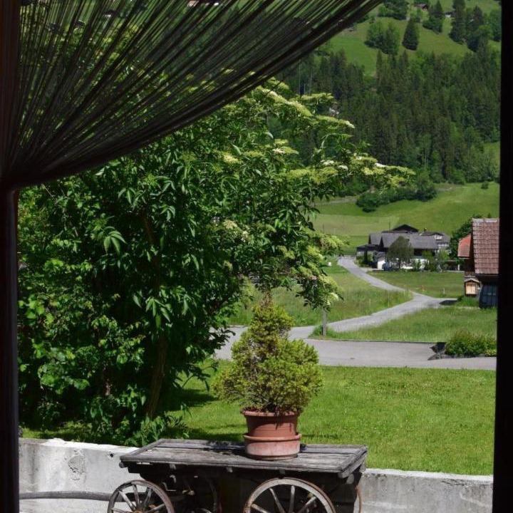 Photo of Others in Lenk