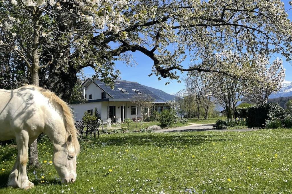 Photo of Others in Spiez