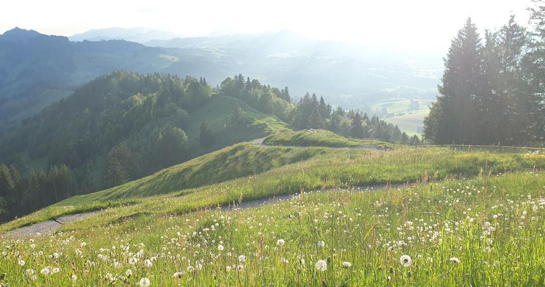 Photo of Others in St. Gallen