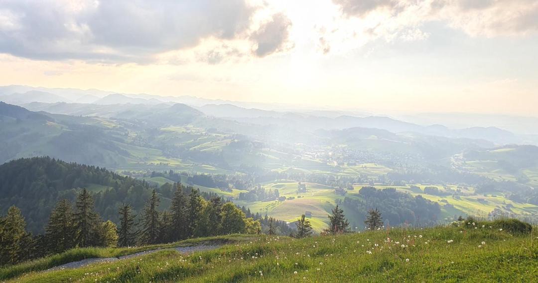 Photo of Others in St. Gallen
