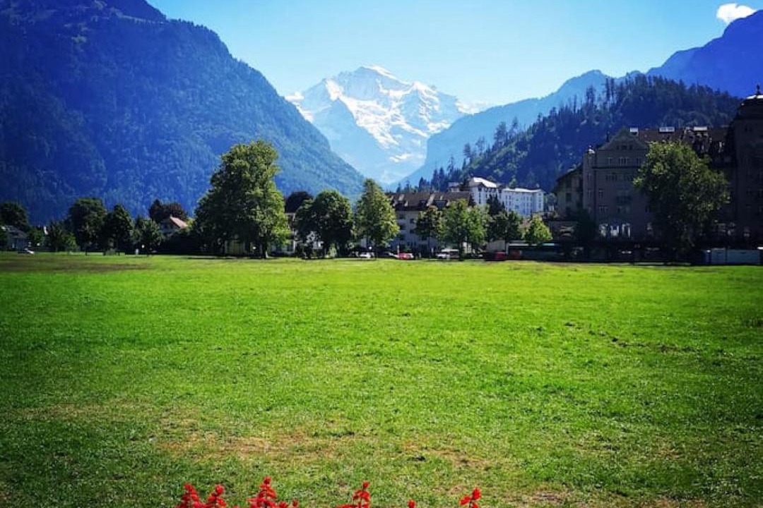 Photo of Others in Goldiwil