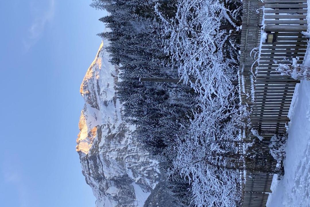 Photo of Others in Lenk