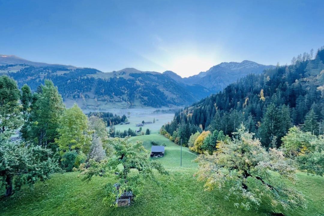 Photo of Others in Lenk