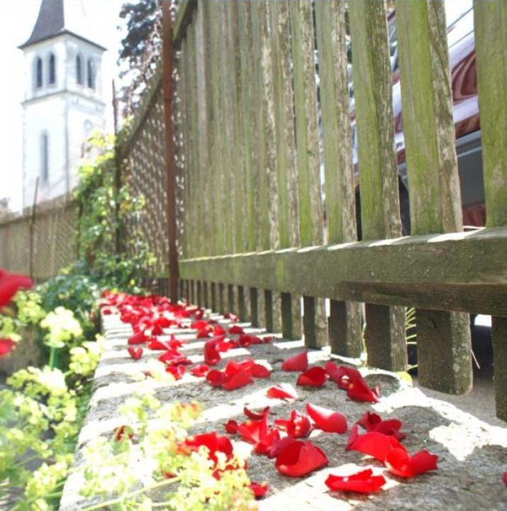 Photo of Others in Murten