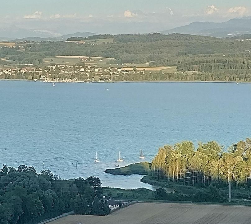 Photo of Others in Bellerive