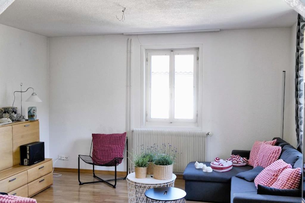 Photo of Others in Horgen District