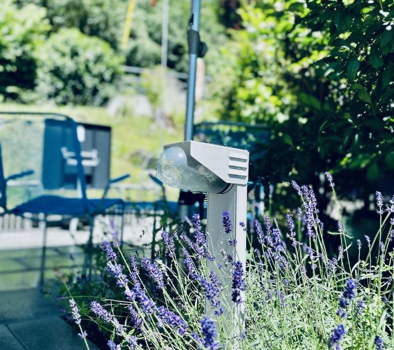 Photo of Others in Olten