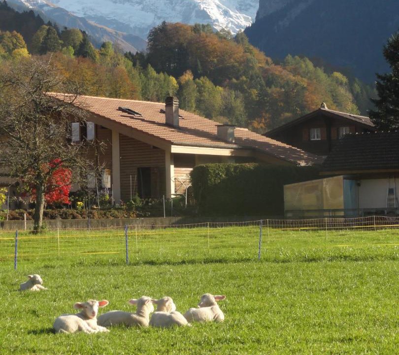 Photo of Others in Wilderswil