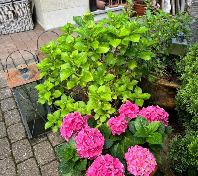 Photo of Others in Boenigen