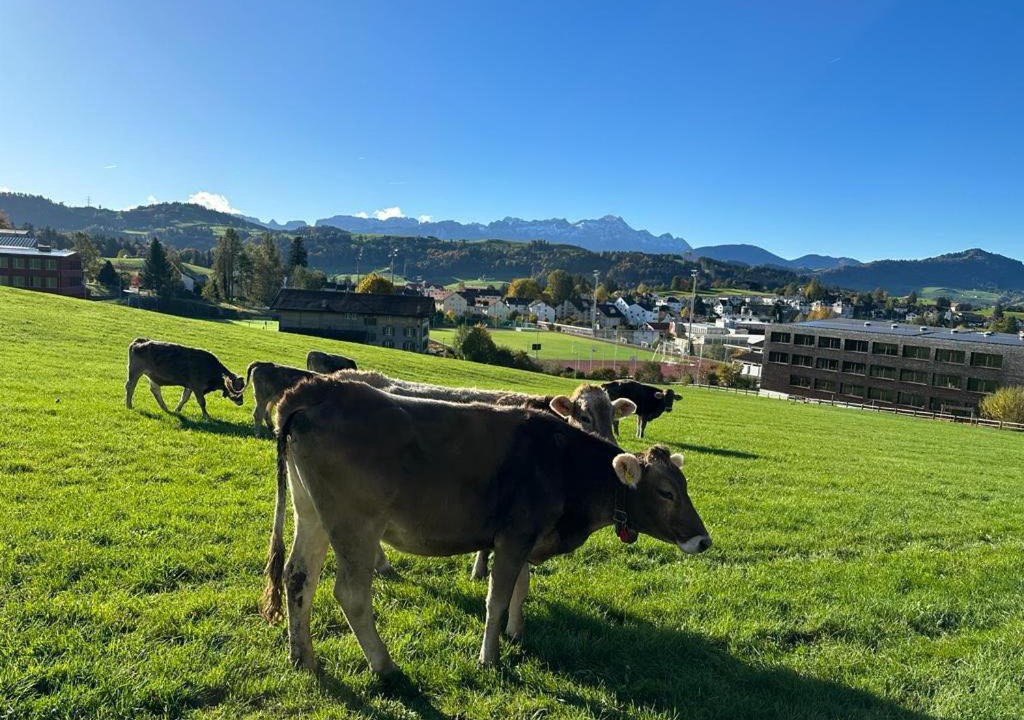 Photo of Others in Teufen