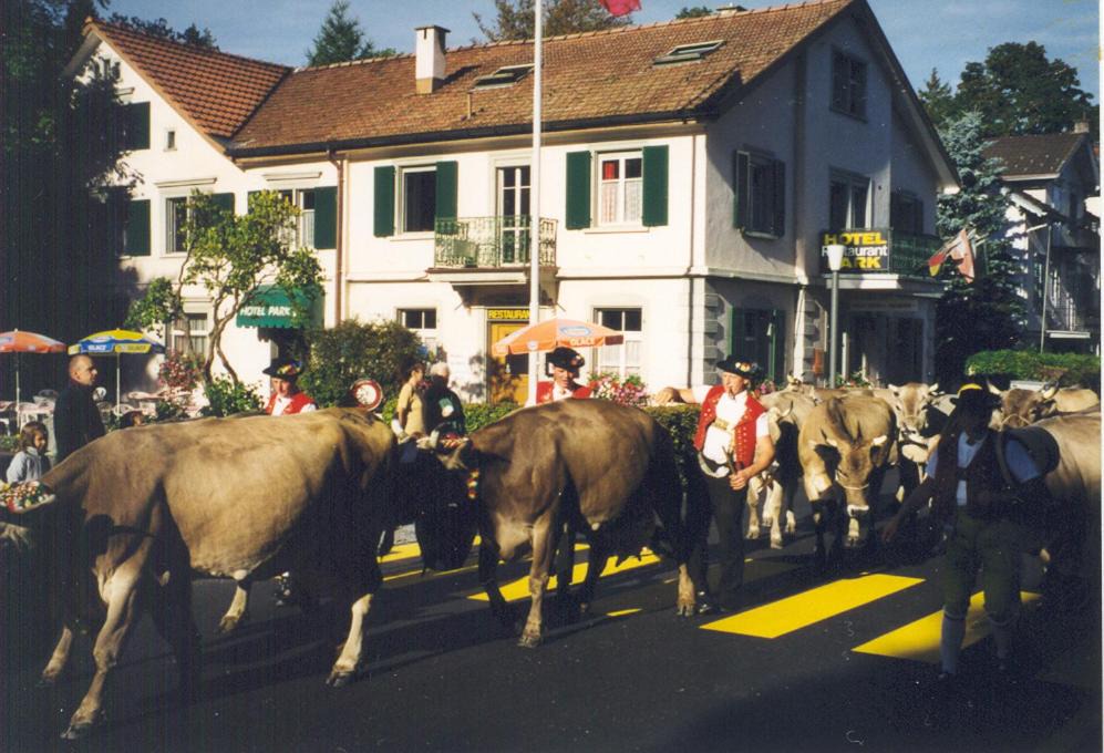 Photo of Others in Heiden