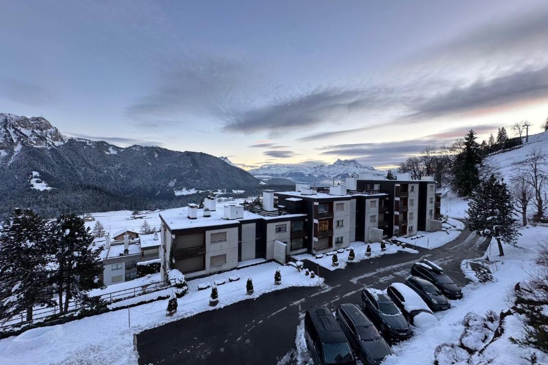 Photo of Others in Leysin