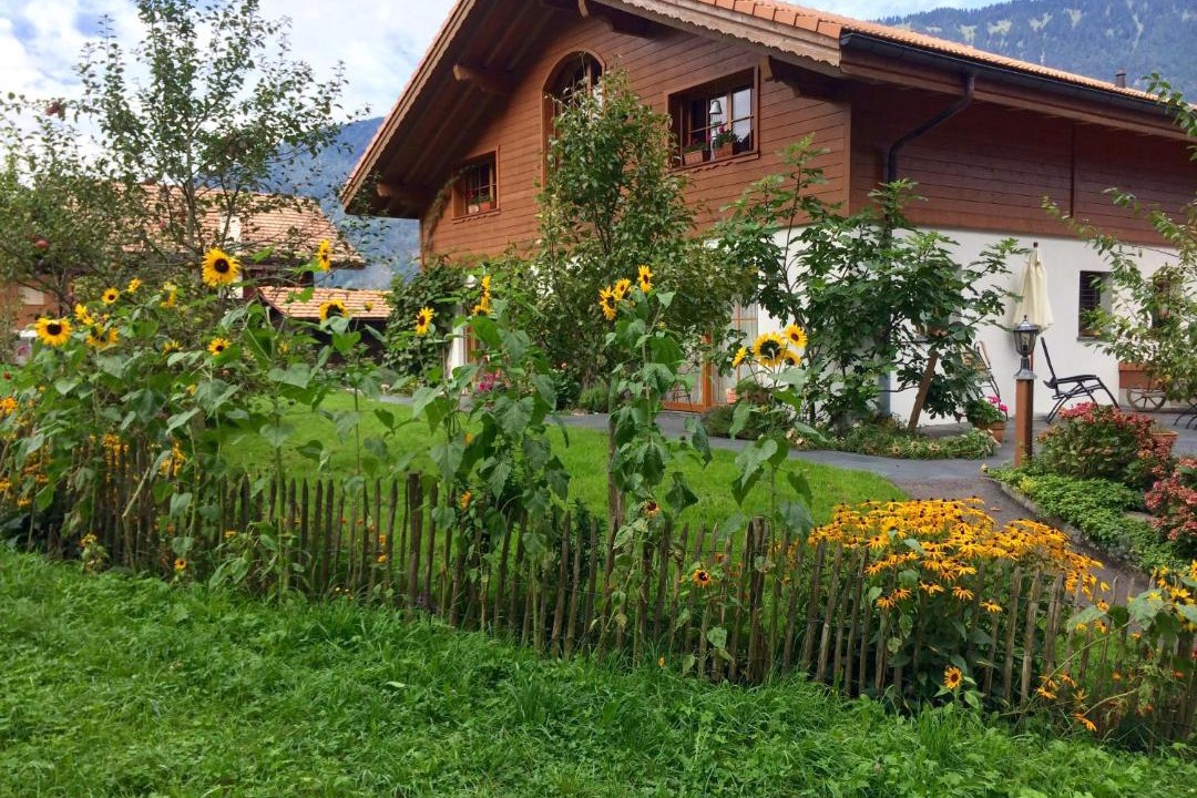 Photo of Others in Boenigen